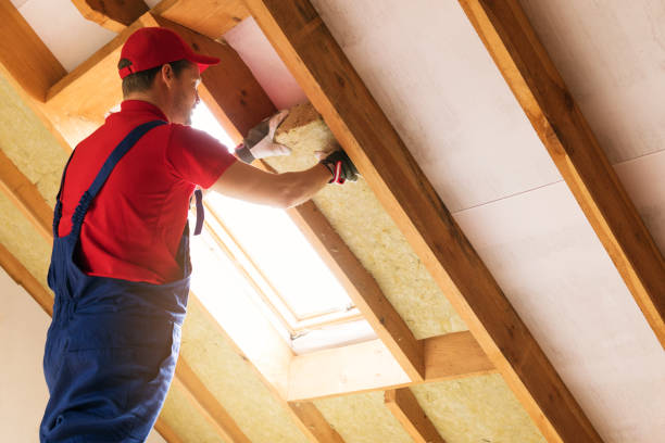 Professional Insulation Installation & Removal in Hazleton, PA